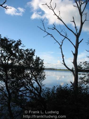 Lough Arrow